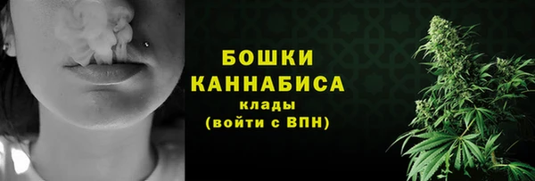 тгк Семёнов