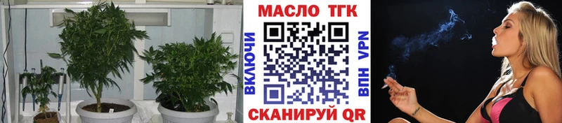купить  сайты  Агидель  hydra ссылки  ТГК концентрат 