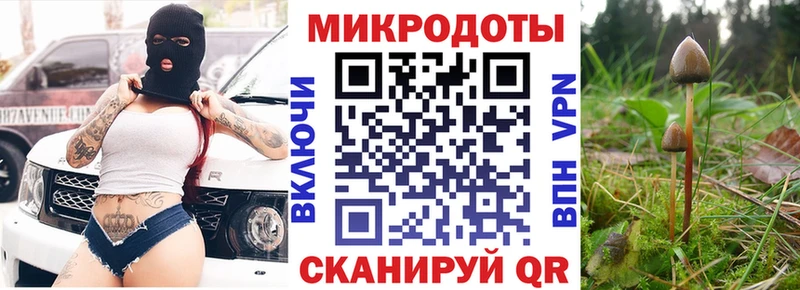 где найти   Агидель  Галлюциногенные грибы Cubensis 